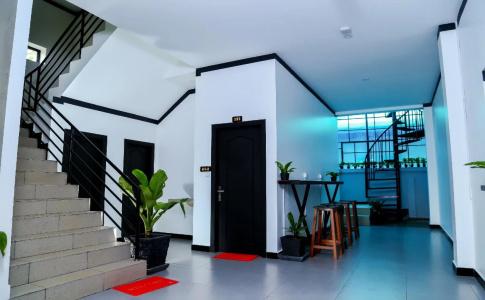Noni Tree - 11