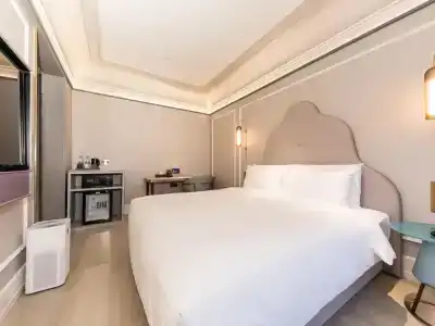 Mercure Xi'an Dayan Pagoda - 73
