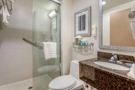 Comfort Inn Manhattan - Midtown West - 48