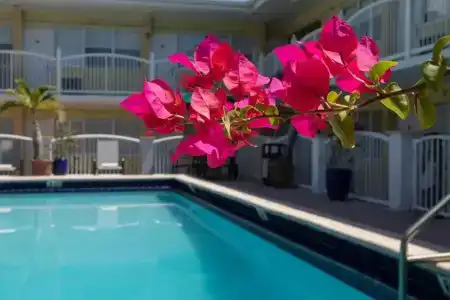Beach Place - 11