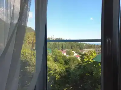 Инжир - 6