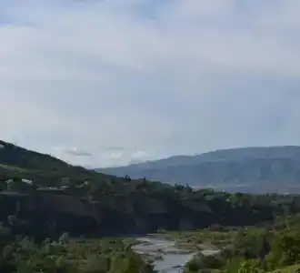 Zedazeni - 11