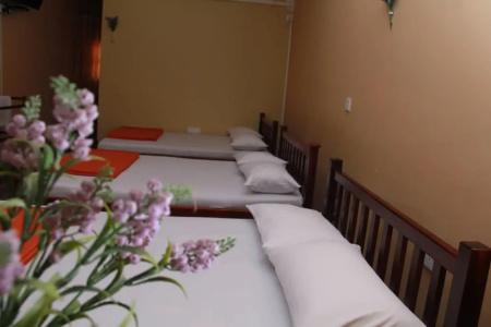 Anura Guest Inn - 49