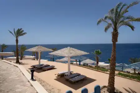 Grand Oasis Resort - 13