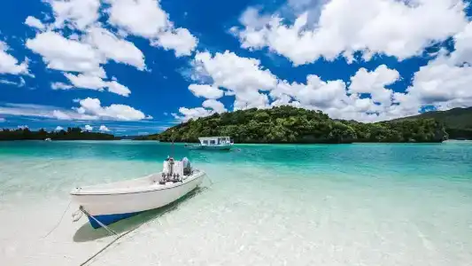 Tsundara Beach Retreat - 41