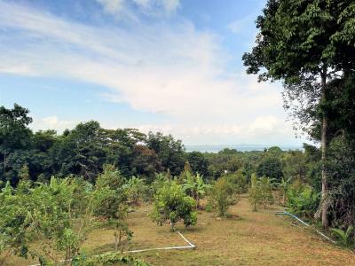 Somphoch Garden - 6