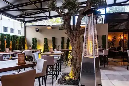 Canary Boutique - 20