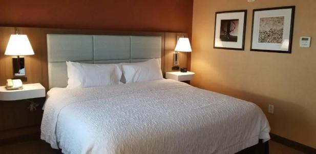 Hampton Inn & Suites Boston Crosstown Center - 28