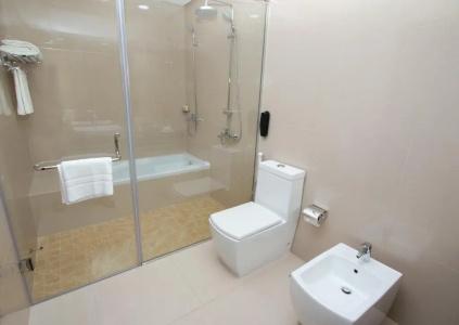 Park Regis Lotus - 74