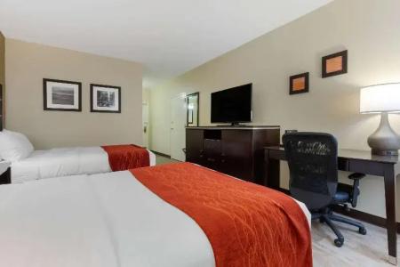 Comfort Inn - 49