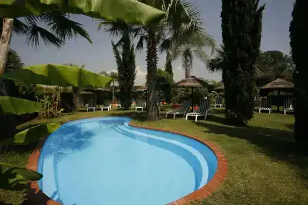 Leucosya - 10