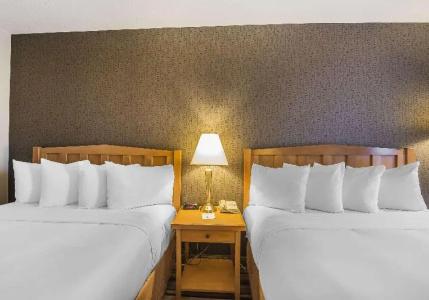 DoubleTree by Hilton North - 32
