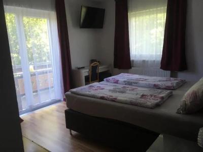 Pension Waldesruh - 22