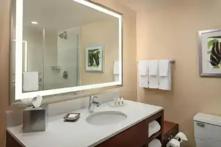 Holiday Inn Austin -Town Lake, An Ihg - 52