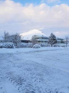 Jökull - 29