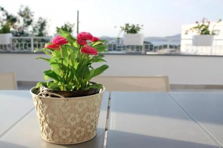 Pharus miseni B&B - 118
