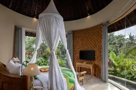 The Alena a Pramana Experience - 20