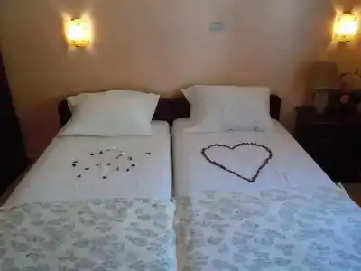 Vila Maslina Guesthouse - 8