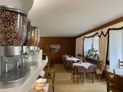 Pension Steinbacher - 22