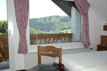Pension Haus Diefenbach - 47
