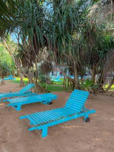 Serendib Beach - 45