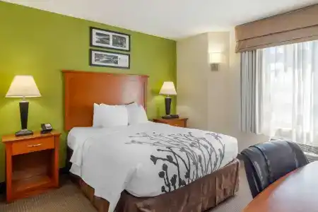Sleep Inn I-75 - 47