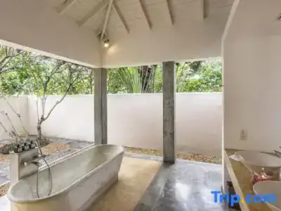 The Frangipani Tree by Edwards Collection - 42