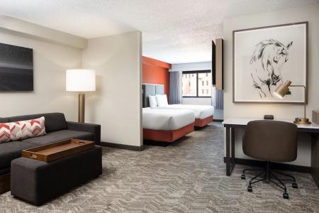 SpringHill Suites by Marriott Dallas Downtown / West End - 46