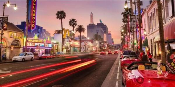 The Hollywood - 26