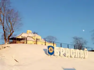 Домик в соснах - 5