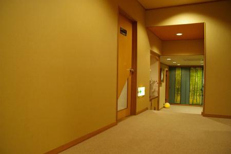 Ryokan Sawaya Honten - 12