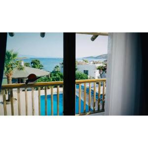 Gumbet Cove - 7