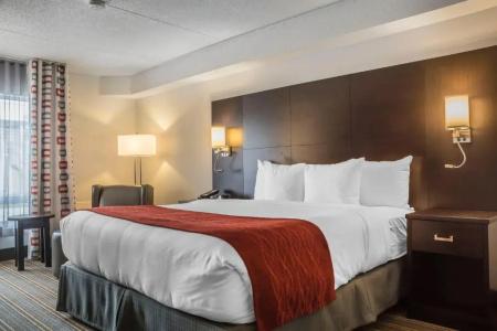 Quality Inn - 47