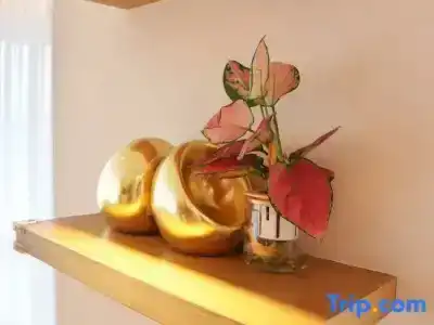 Le Joy - 112