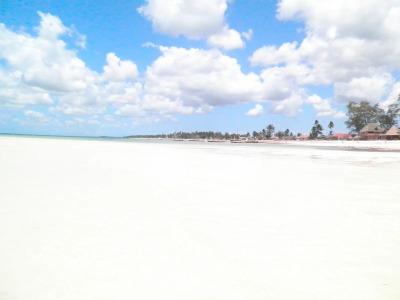 Palumbo Reef - 7