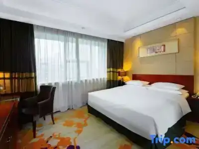 Celebrity Ruicheng - 22