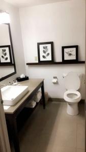 Country Inn & Suites by Radisson, Indianapolis South, IN - 32