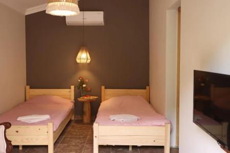 Dalya Life - 2