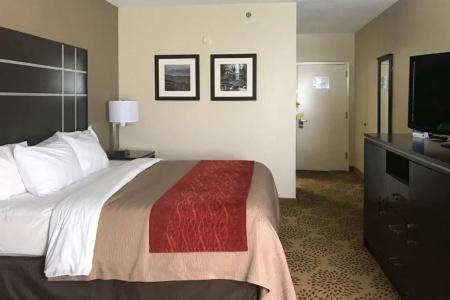 Comfort Inn - 25