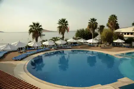 Club Muskebi - 14