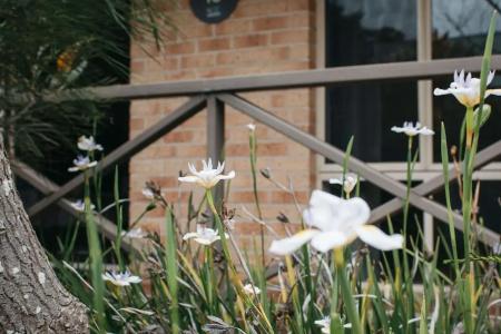 Quality Suites Banksia Gardens- Apartment - 138