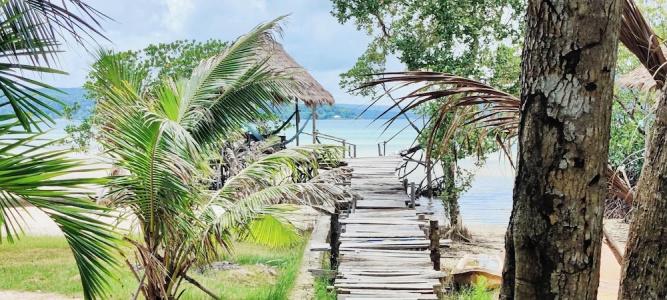 Dolphin Bay - 13