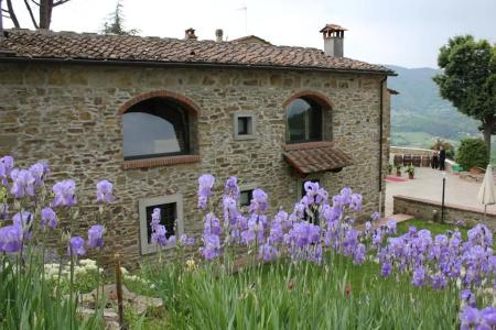 Fattoria Il Lago - 34