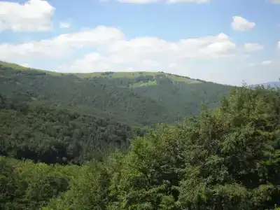 Гранд Пилипец - 15
