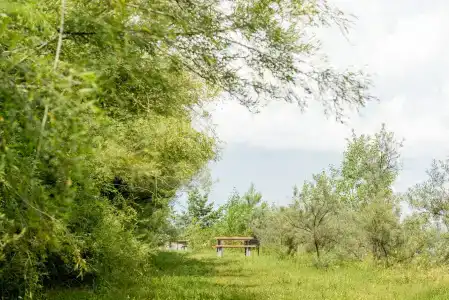 Борвиха&SPA - 33
