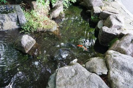 Blancvert Nasu Onsen - 14