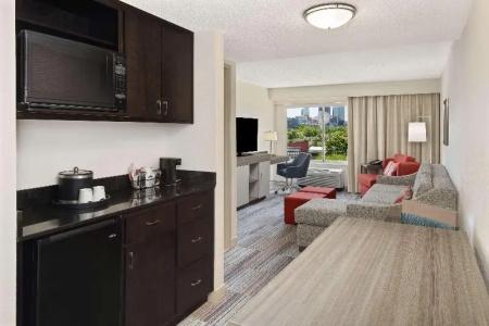 Hampton Inn Atlanta-Georgia Tech-Downtown - 61