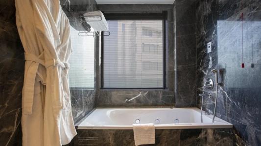 Holiday Inn Ankara - Cukurambar, an IHG - 113