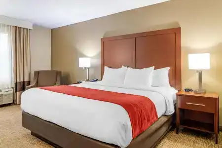 Comfort Inn & Suites North I-75 - 6