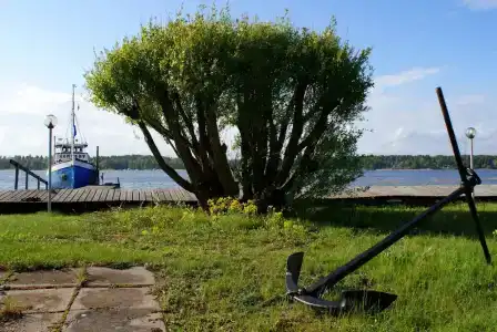 Sea Front - 17